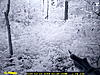 Game Cam Pics-dsc_0089.jpg