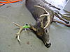 2009-2010 deer hunting braggin' board-dsc00024.jpg