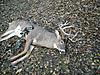 2009-2010 deer hunting braggin' board-dscn1487-800x600-.jpg
