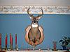 Brother's First Buck / My Mount Back-mounted_8_pt2.jpg