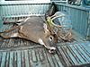 Lets see some pics of your best deer-dscn1491-800x600-.jpg