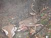 Lets see some pics of your best deer-09bowbuck-004.jpg