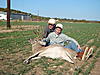 First white tail-dsc09702.jpg