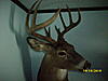 Lets see some pics of your best deer-dsci0089.jpg