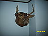Lets see some pics of your best deer-dsci0076002.jpg