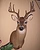 Lets see some pics of your best deer-2004-buck-052-2.jpg
