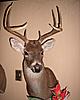 Lets see some pics of your best deer-2007-buck-054-2.jpg