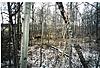 hunting with cows-alberta-large-.jpg