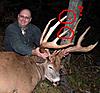 400lb Maine Buck-fake-400-lb.jpg