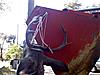 Shot this young basket rack 7 point-dan-8-point.jpg