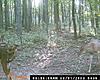 How old do you guys or girls think this deer is and what do yoyu think he will score?-l_ded35a9b5ef54f4aac8a0f595442bfd6.jpg
