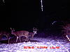 Is This a Big Buck?  (Pic)-fork-209-1-.jpg