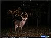 Is Spring a good time for Trail Cameras?-picture11111.jpg