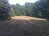 just got it in-foodplot-1.jpg