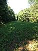 Food Plot-image.jpg