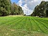 Clover Seed on the Ground!-ballistictip-albums-clover-plot-picture10376-10-8-18-after-mow.jpg