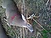 Post any deer killed in 2011 deer season-photo_4.jpg