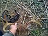Post any deer killed in 2011 deer season-img_0944.jpg