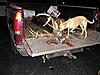 Hunting pictures(this year only)-pb230196.jpg