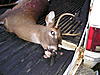 my 09- 10 season deer-pc170183.jpg