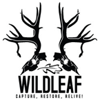 WildLeafDesign.com's Avatar