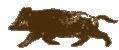 tikka3's Avatar
