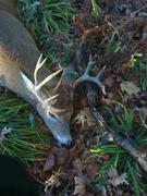 MNbowhunter13's Avatar