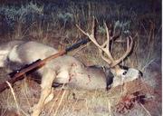 Blacktail53's Avatar