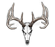 buckbraggin's Avatar