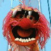 HogFan219's Avatar