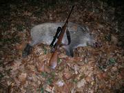 hatzwatz1966's Avatar