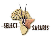 selectsafaris's Avatar