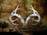 Camouflage Cowboy's Avatar