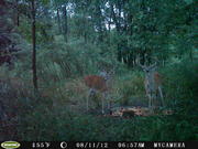 bonecrusher12345's Avatar