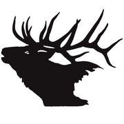 Wildernessguy's Avatar