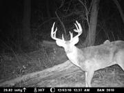 ohiodeerhntr's Avatar