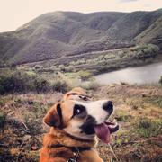 Freightliner357's Avatar