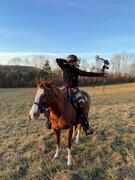 Horse Walker's Avatar
