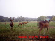 Parker Bow Hunter's Avatar