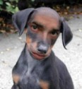 Phil__'s Avatar