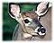 bpshorty_9's Avatar