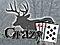 gtownbuckbuster's Avatar
