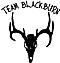 Team Blackburn's Avatar