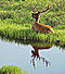 rather_be_huntin's Avatar