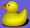 Yellow Rubber Duck's Avatar