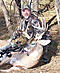 16 point's Avatar