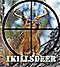ikillsdeer's Avatar