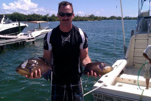 Cancun Queen Trigger fish