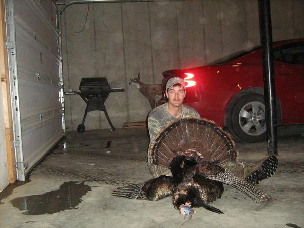 2010 gobbler