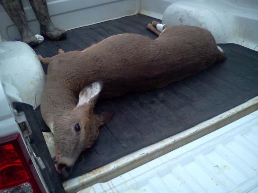 downsized 1112111718 My Doe opening day afternoon. 2011 Gun Season